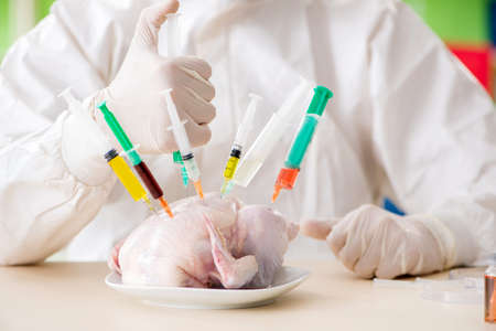 Lab assistant testing GMO chickenの写真素材