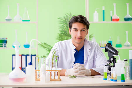 Young biotechnology scientist chemist working in lab