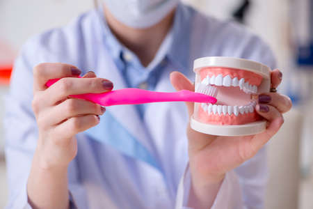 Woman dentist practicing work on tooth modelの写真素材