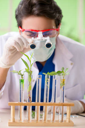 Young biotechnology scientist chemist working in labの写真素材