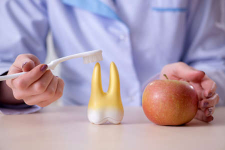 Woman dentist practicing work on tooth model