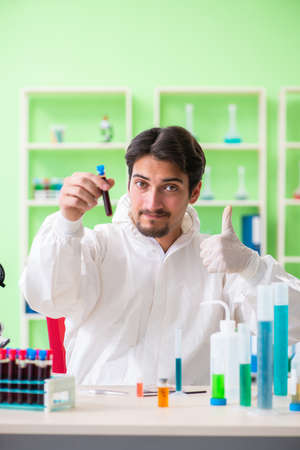 Chemist working in the lab on new experimentの写真素材