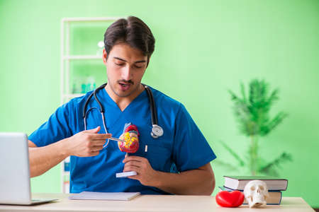 Doctor student explaining heart problemsの写真素材