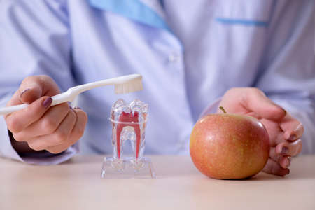 Woman dentist practicing work on tooth model