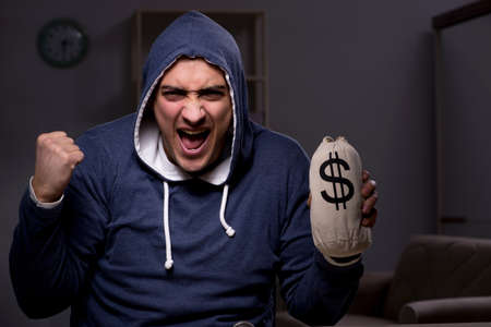 Hacker with sack of money