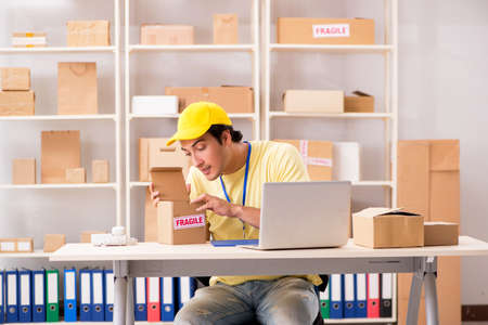Handsome contractor working in box delivery relocation service