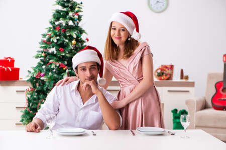 Young couple preparing for christmas mealの写真素材