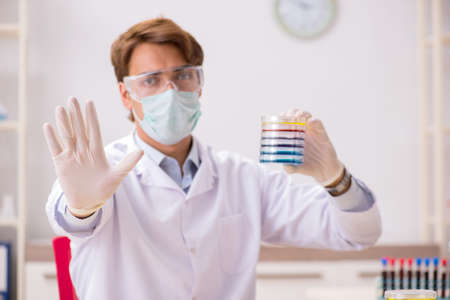 Young chemist working in the labの写真素材