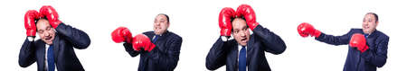 Young businessman boxer isolated on whiteの写真素材