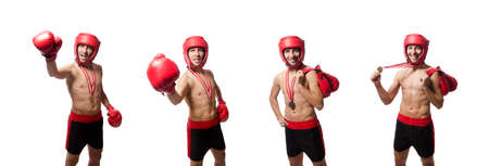 Funny boxer isolated on the whiteの写真素材