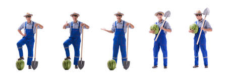 Young farmer with watermelon isolated on whiteの写真素材