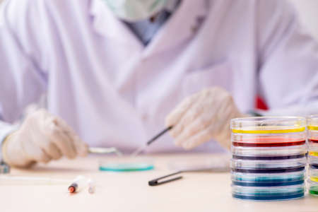 Young chemist working in the labの写真素材