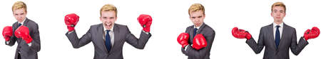 Young employee with boxing gloves isolated on white