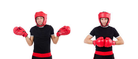 Funny boxer isolated on the whiteの写真素材