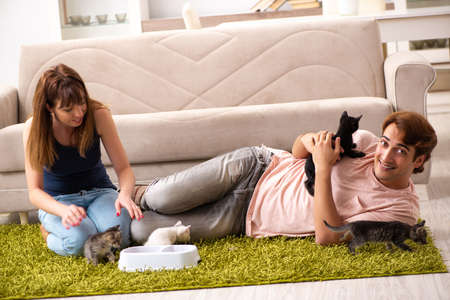 Young family with kitten playing at homeの写真素材