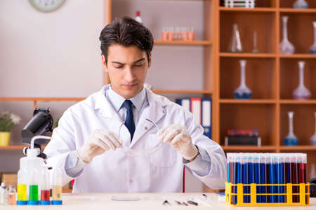 Young biochemist working in the lab