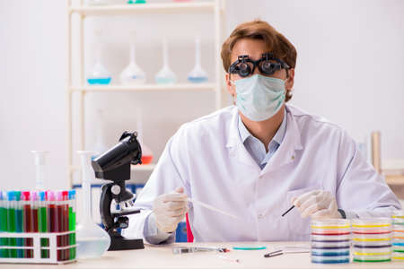 Young chemist working in the labの写真素材