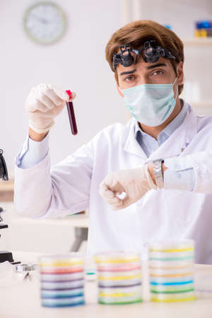 Young chemist working in the labの写真素材