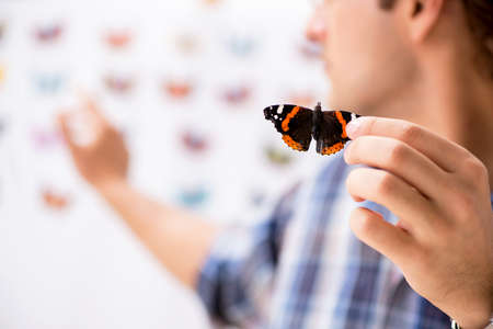 Student entomologist studying new species of butterfliesの写真素材