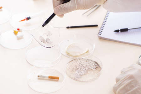 Young expert criminologist working in the lab