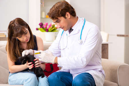Vet doctor visiting sick kittens at homeの写真素材