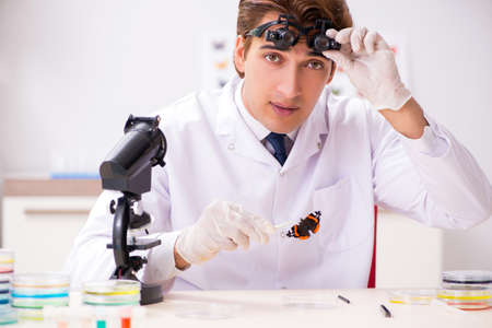Scientist entomologist studying new butterfly speciesの写真素材