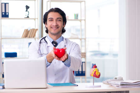 Young handsome doctor cardiologist in front of whiteboardの写真素材