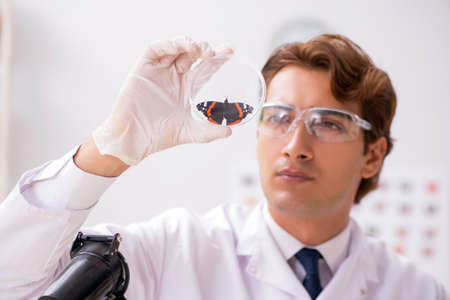 Scientist entomologist studying new butterfly species