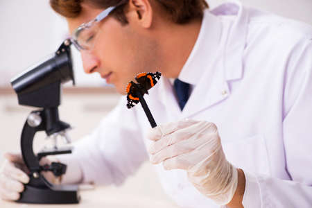 Scientist entomologist studying new butterfly speciesの写真素材