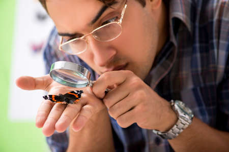 Student entomologist studying new species of butterfliesの写真素材