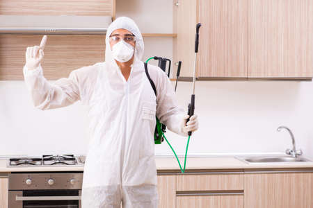 Professional contractor doing pest control at kitchenの写真素材