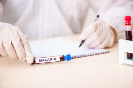 Young handsome lab assistant testing blood samples in hospitalの写真素材