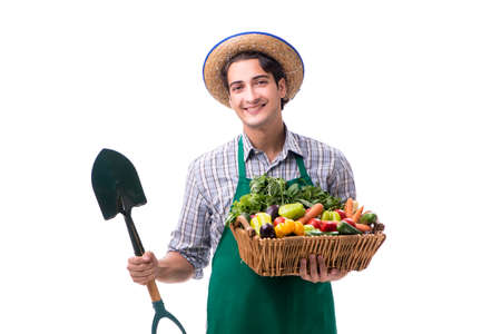 Young farmer with fresh produce isolated on white backgroundの写真素材