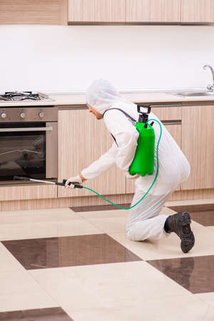 Professional contractor doing pest control at kitchenの写真素材