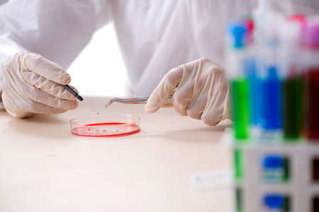 Young handsome chemist working in the lab