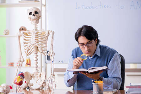 Young lecturer teacher teaching anatomyの写真素材
