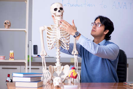 Young lecturer teacher teaching anatomyの写真素材