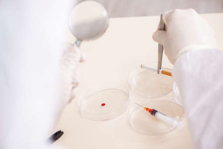 Young expert criminologist working in the lab