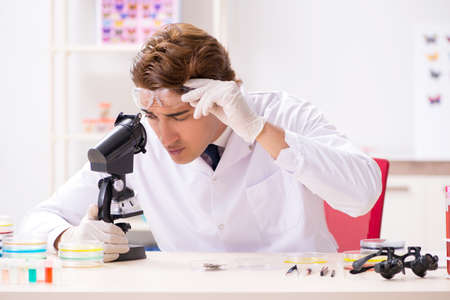 Scientist entomologist studying new butterfly speciesの写真素材