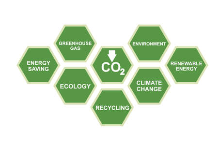 Main ecology concepts  arranged in matrix