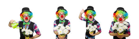 Clown isolated on the white backgroundの写真素材
