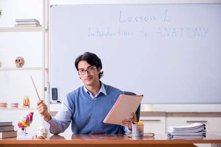 Young lecturer teacher teaching anatomyの写真素材