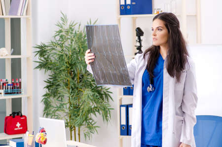Female doctor radiologist working in the clinicの写真素材