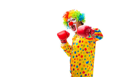 Male clown isolated on white