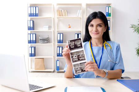 Female doctor gynecologist working in the clinicの写真素材