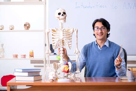 Young lecturer teacher teaching anatomyの写真素材