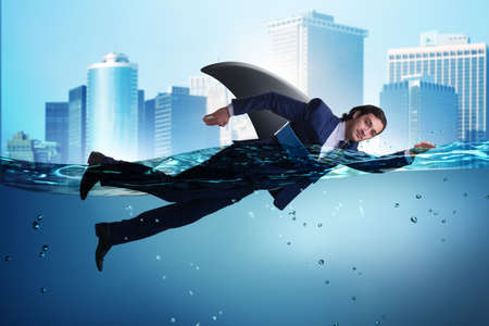 Businessman with shark fin swimming in waterの写真素材