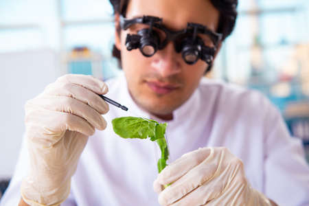 Male biotechnology scientist chemist working in the labの写真素材