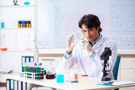 Young chemist working in the labの写真素材