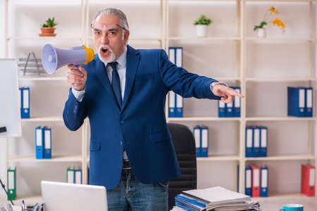 Aged male employee working in the officeの写真素材